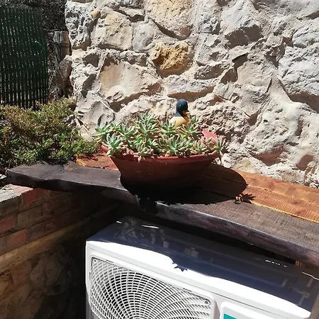 Monte Viana Holiday home