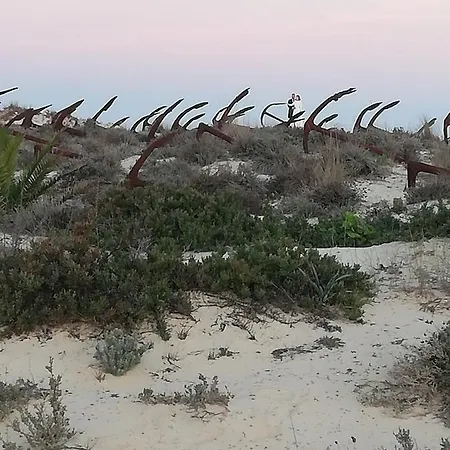 Monte Viana