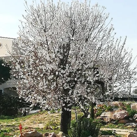 Monte Viana 펜션 푸제타