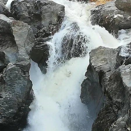 Monte Viana * 푸제타